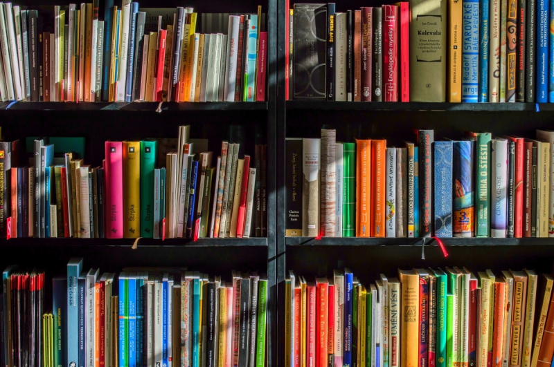 vitrine-BERRE LES ALPES-min_books_bookstore_book_reading_shop_writer_sale_books_read-822866
