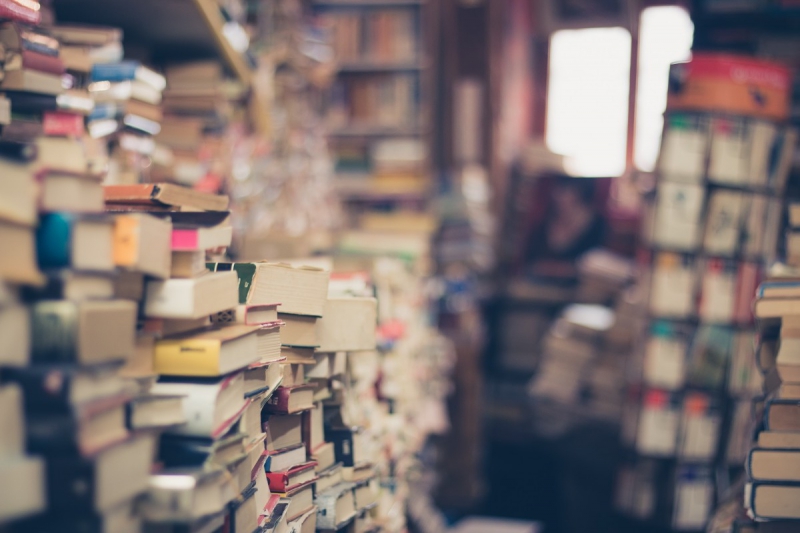 vitrine-BERRE LES ALPES-min_books_stack_book_store_stack_of_books_2nd_hand_retro_hipster_shop-829090